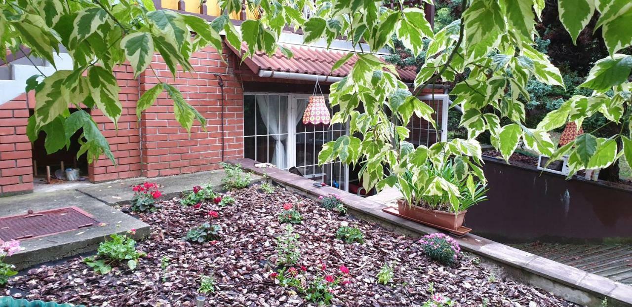 Mila Home Balaton Balatonfuzfo Luaran gambar